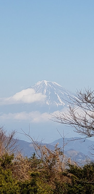 の投稿画像2枚目