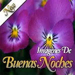 Cover Image of Descargar Imagenes De Buenas Noches 🌙⭐️ 1.1 APK