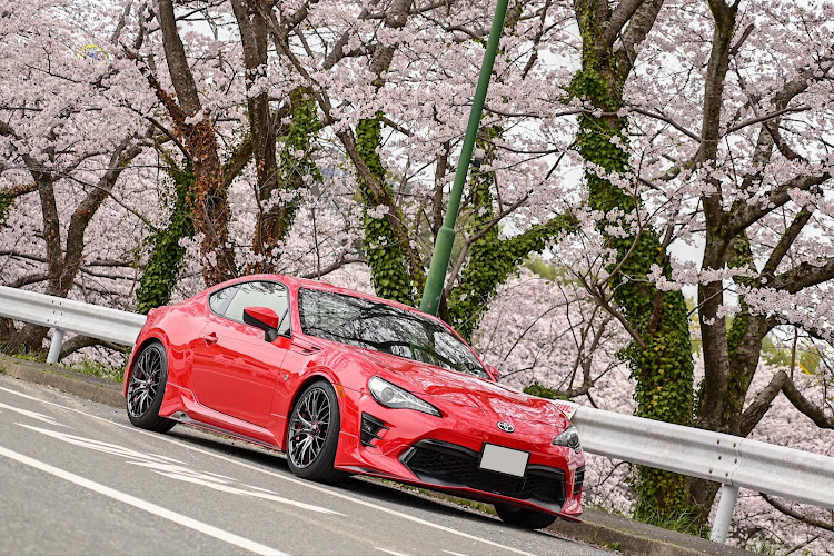 86の一眼レフ撮影・86のある生活・サクラと愛車・福岡に関するカスタム事例の投稿画像3枚目