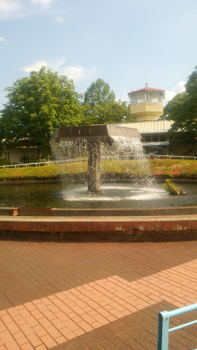 Oyama Sports Park Fountain