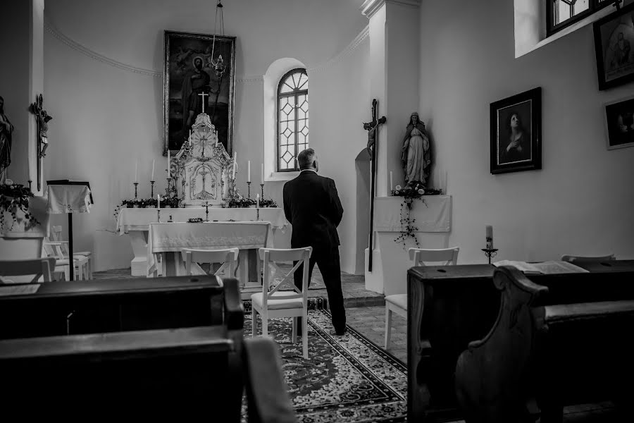 Fotógrafo de bodas Noémi Dávid (davidnoemiphoto). Foto del 14 de febrero