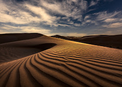 UAE Desertscapes- 18