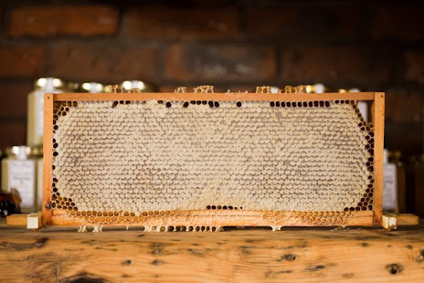 Beekeeping(圖5)-速報App