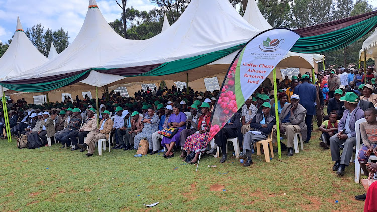 Attendees at the DED grounds in Kangundo where Cooperatives Cabinet Secretary Simon Chelugui launched the Coffee Cherry Fund Advance Revolving Fund on Wednesday, January 10, 2024.