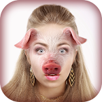 Animal Face Photo Montage Apk