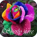 Cover Image of ดาวน์โหลด SHERLY STORE 1.1 APK