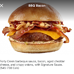 The BBQ Bacon Burger