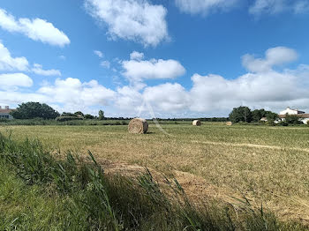 terrain à La Barre-de-Monts (85)