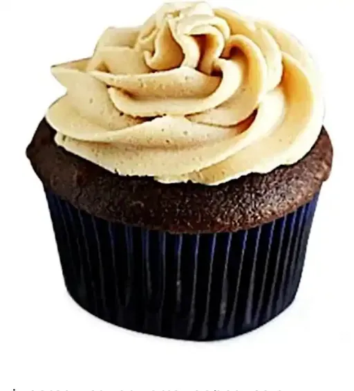 Chocolate Peanut Butter Cupcake [1 Piece]