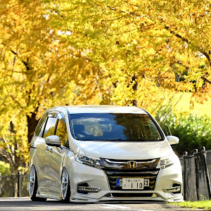 オデッセイ RC1