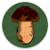 Book of Mushrooms icon