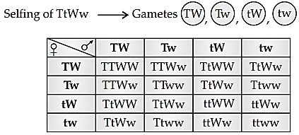 Solution Image