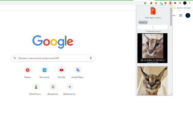 #Tags chrome extension