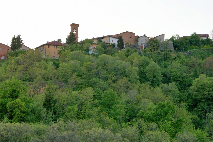 In mezzo al verde di Alessandro Del Balzo