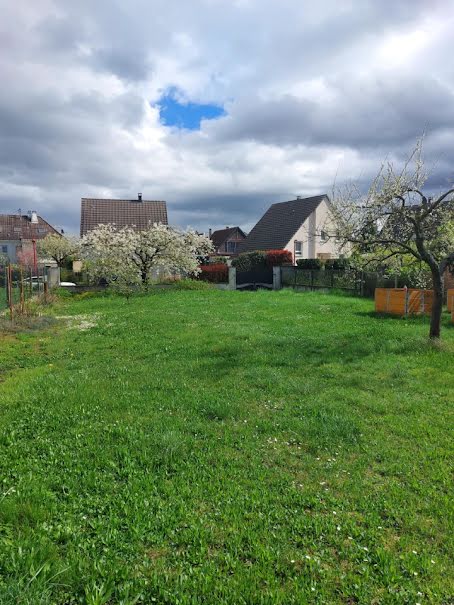 Vente terrain  570 m² à Plobsheim (67115), 260 000 €