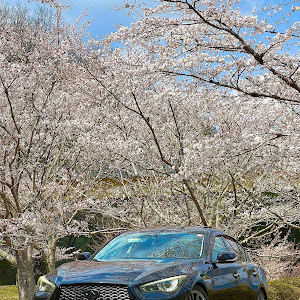 スカイライン HV37