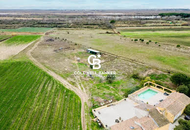 Vineyard with outbuildings 11