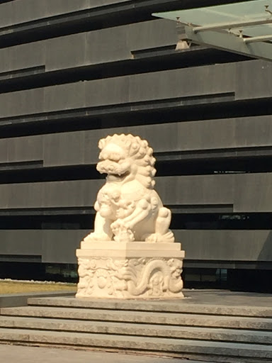 北京银行母狮子