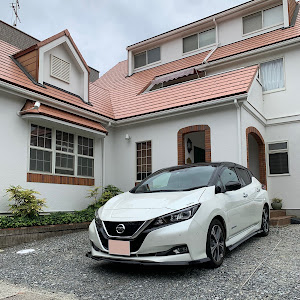 リーフ ZE1