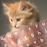 Cover Image of Descargar Kitty Keypad Theme App 3.1.2 APK