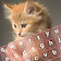 Clavier chat mignon icon