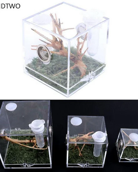 1set Spider Ant Insect Feeding Box Breathable Terrarium T... - 0