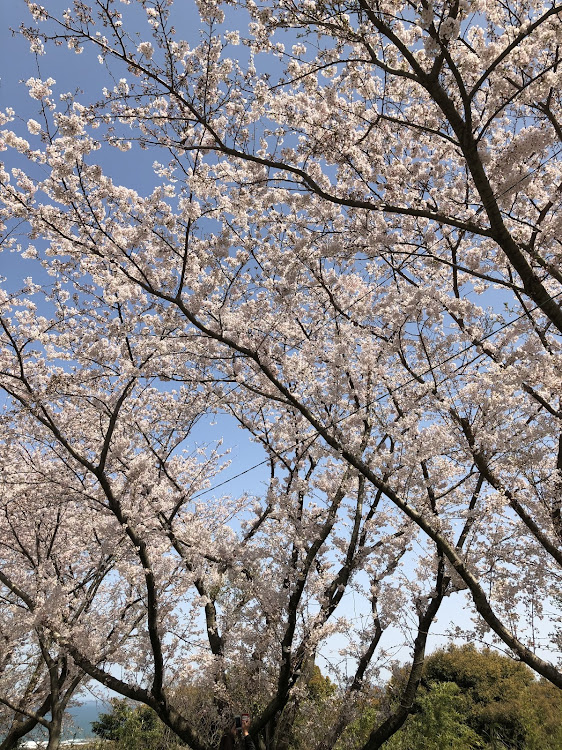 やすのぶ全国エグゼ連合さんが投稿したカスタム事例の投稿画像4枚目