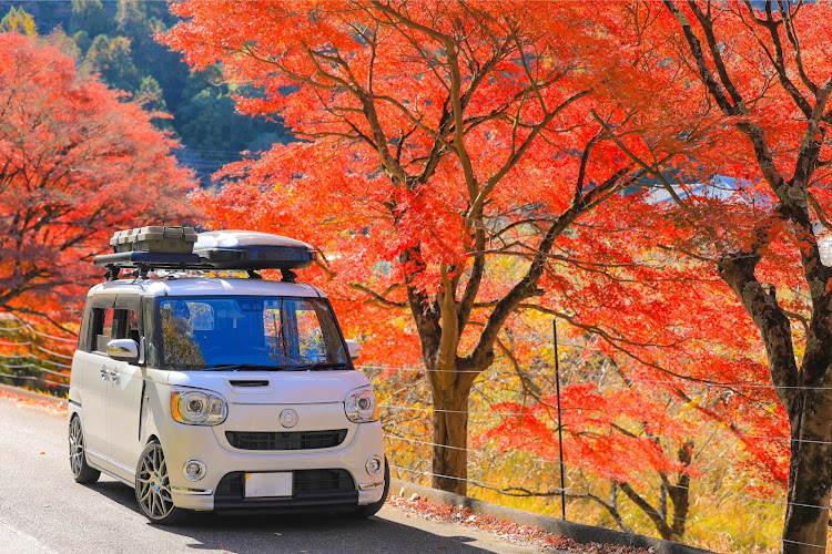 ムーヴキャンバスの紅葉と愛車・モミジ・時差投稿・ドライブに関するカスタム事例の投稿画像5枚目