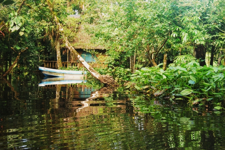 Il paradiso allo specchio di lana