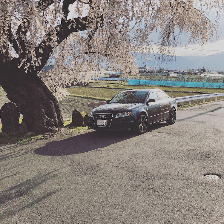 A4のdtm・桜・コロナウイルスに負けるなに関するカスタム事例の投稿画像1枚目