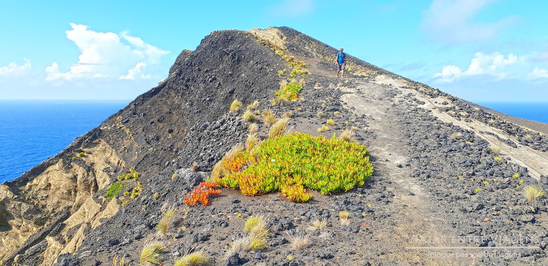 Visitar a ILHA DO FAIAL, o que ver e fazer num lugar que "não é na Terra nem na Lua" é nos Açores