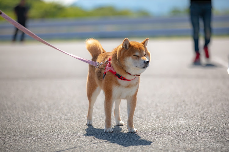 の投稿画像25枚目