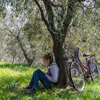 all'ombra di un ulivo di 