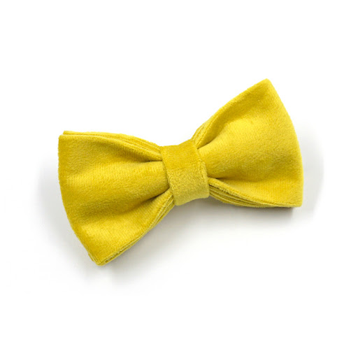 Title 5, Elegant Yellow and Green Velvet Dog Go Out Coll...
