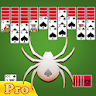 Spider Solitaire Pro icon