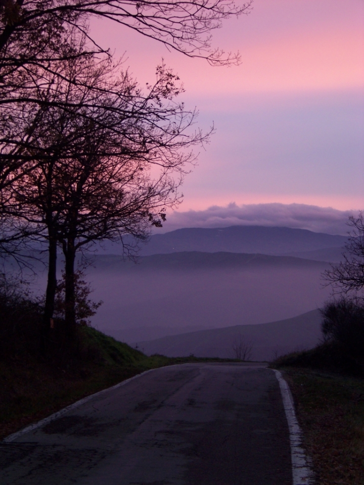 Linea Gotica di giusyrosta