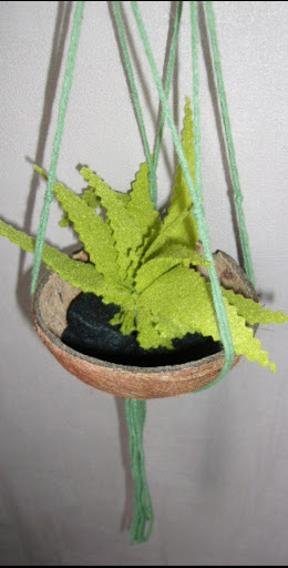 suspension noix de coco artiste textile barre virginie aloe vera en feutrine