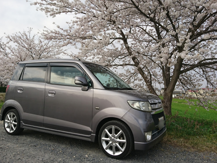 ゼストの桜と愛車・ゼストスポーツ・JE1・ホンダに関するカスタム事例の投稿画像2枚目