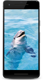 Galaxy Water 3D Live Wallpaper