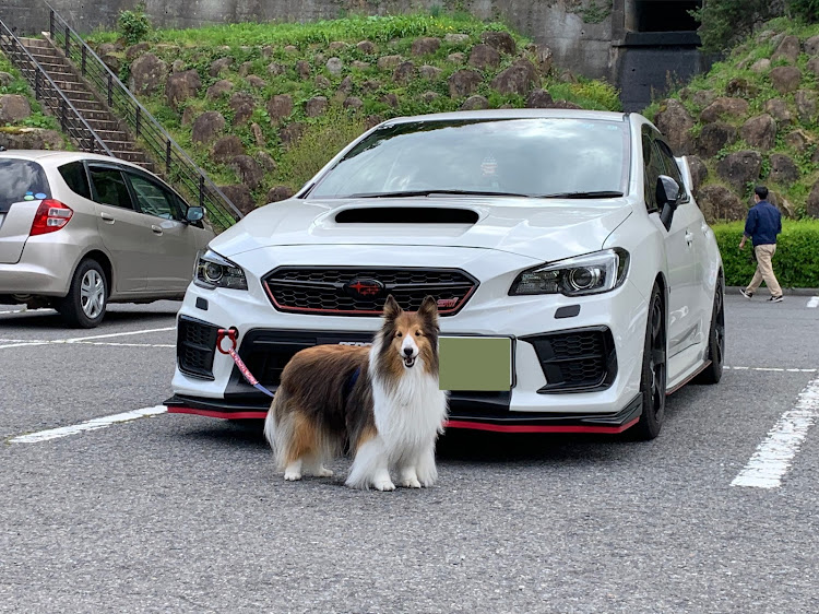 WRX STIの新潟オフ・長岡花火ミュージアム・へぎそば・フィッシャーマンズケープに関するカスタム事例の投稿画像11枚目