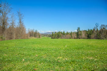 terrain à Clénay (21)