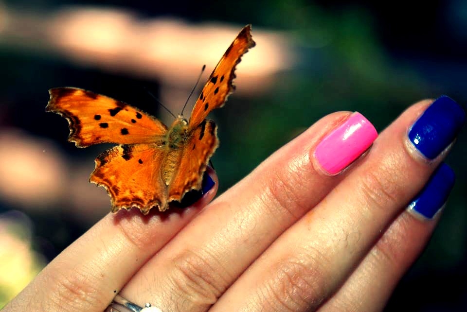 La leggerezza di un attimo di Gimi