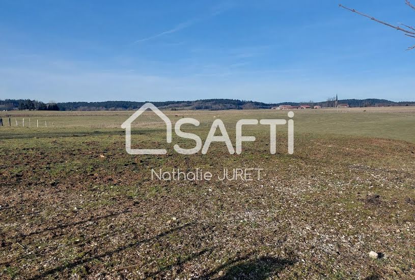  Vente Terrain à bâtir - 1 116m² à Censeau (39250) 