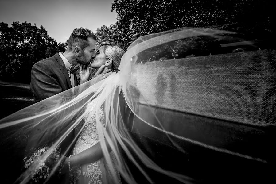 Fotografo di matrimoni David Hallwas (hallwas). Foto del 18 gennaio 2017