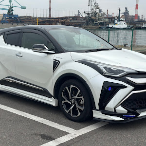 C-HR ZYX11