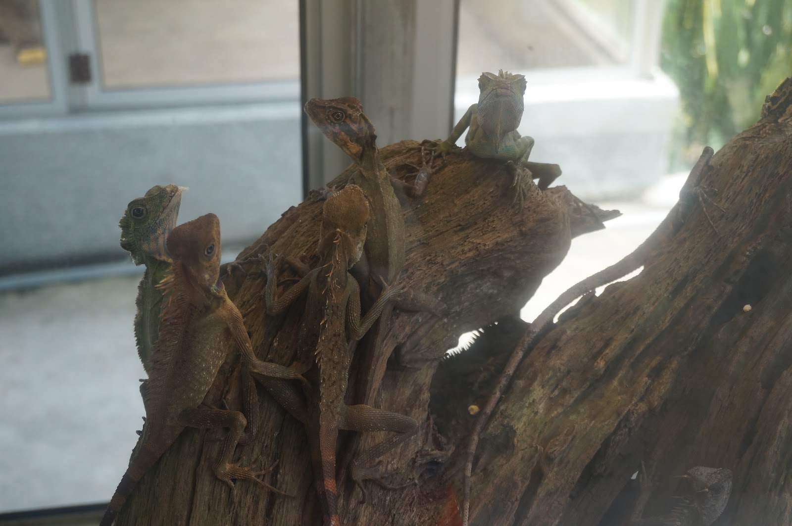 DSC07903.JPG