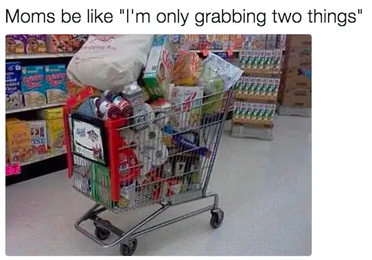 Meme of overloaded shopping cart with caption: Moms be like I'm only grabbing two things"