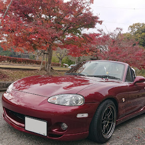 ロードスター NB6C