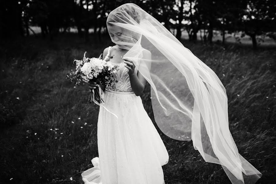 Wedding photographer Dmitriy Shumeev (wedmoment). Photo of 17 August 2017