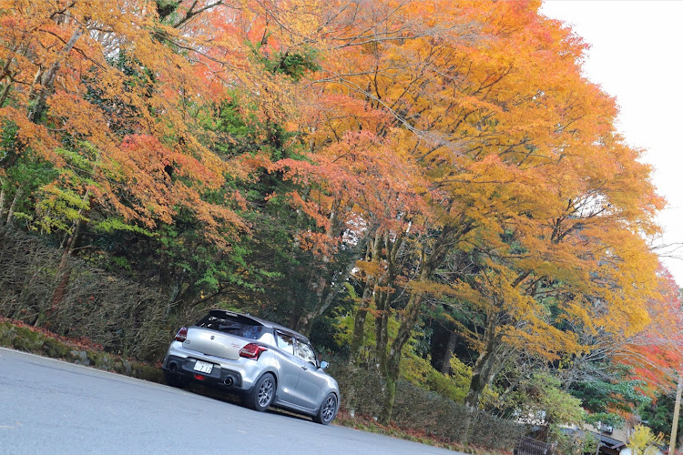 スイフトスポーツのZC33S・足柄峠・誓いの丘に関するカスタム事例の投稿画像6枚目